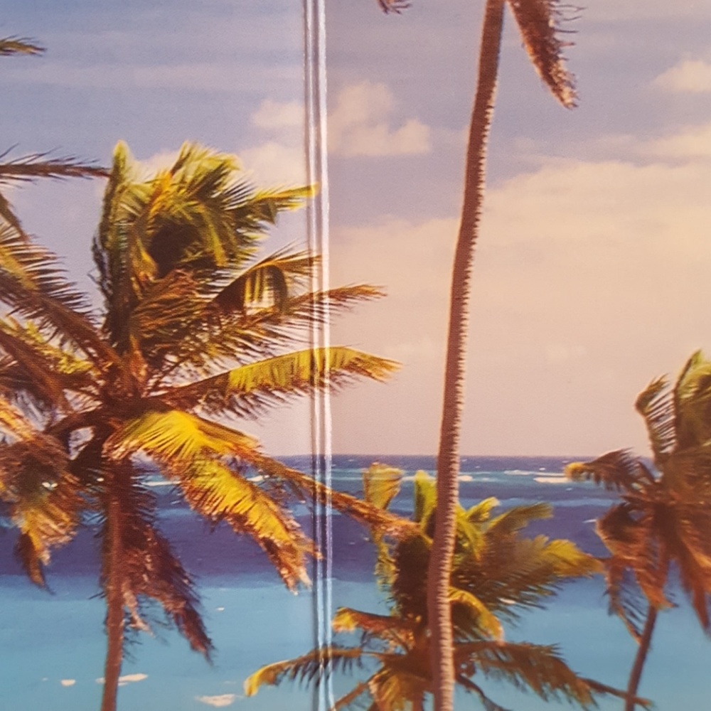 Meet your Posher, Megi